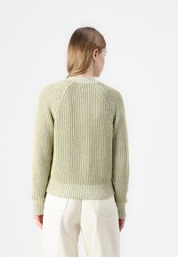  Gebreide trui in lichtgroen en geel met een textuurpatroon, geribbelde mouwen en zoom, en raglanmouwen, gedragen met beidge broek.