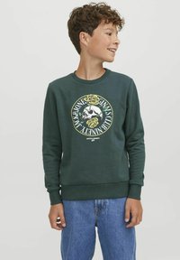 Felpa verde scuro con una grafica rotonda sul davanti che presenta un teschio e rose gialle. Polsini e orlo a costine, design classico con collo a giro.