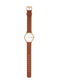Skagen Watch - brown