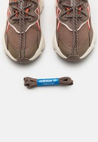 Pár hnědých tenisek Adidas s béžovými podrážkami a červenými akcenty, zobrazený zeshora vedle samostatného páru odpovídajících tkaniček.