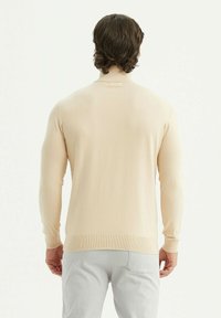 Pull en beige à manches longues avec un col haut et des poignets côtelés, présentant une texture lisse et une coupe ajustée. Le dos est uni, sans embellissements.