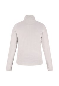 Lichtgrijze fleece pullover jas met een hoge kraag en lange mouwen. Glad oppervlak, geen zichtbare patronen of versieringen op de achterkant.