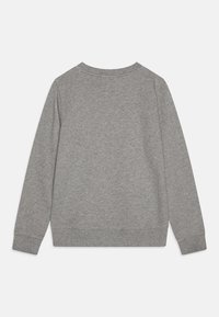 Felpa grigia con maniche lunghe, scollatura tonda e polsini a coste. Tessuto morbido e colore uniforme senza decorazioni o motivi.
