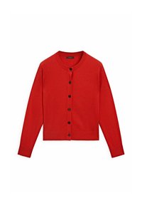 Massimo Dutti Neuletakki - red