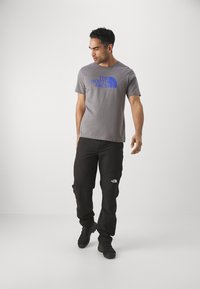 The North Face EASY TEE - Camiseta estampada - smoked pearl