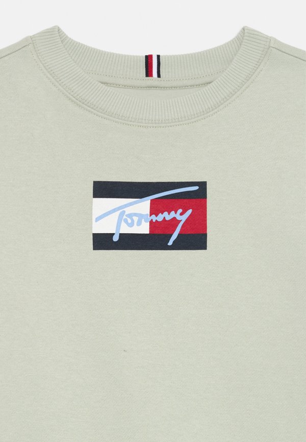 SCRIPT FLAG UNISEX - Sweatshirt - misty sage3