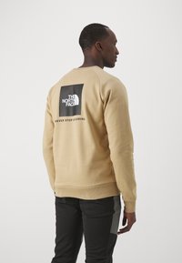 The North Face - RAGLAN CREW - Sweater - khaki stone/black Miniatuurafbeelding 1