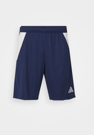 Námorné športové šortky vyrobené z hladkej tkaniny. Majú biele postranné akcenty a elastický pás. Obsahujú strieborné logo na ľavej nohe.