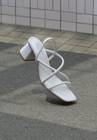 Non sélectionné, white