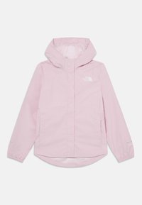 Selected, pale blossom