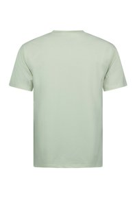 Lichtgroen T-shirt met korte mouwen en een klassieke ronde hals. Gladde textuur zonder zichtbare patronen of accenten. Effen achterkant.