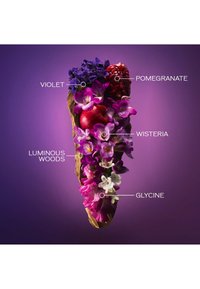 Shiseido GINZA EAU DE PARFUM MURASAKI - Parfum