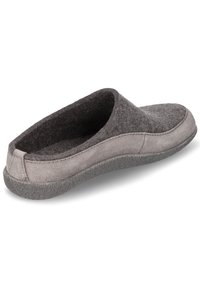 Haflinger BLIZZARD SKANE - Pantoffels - grau
