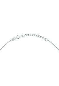FAVS Collana - zilveren kleur