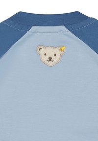 Lyseblå sweatshirt med mørkere blå raglanærmer og et lille hvidt teddybjørn-patch på den øverste ryg med gul øre-lap.