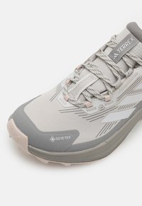 Adidas Terrex TRAILMAKER 2 GTX - Kletterschuh - grey one/dash grey/chalk solid grey