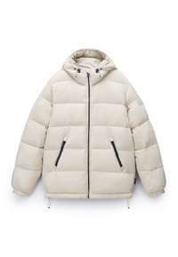 A-BOX LOGO MED - Winter jacket - beige silvr n