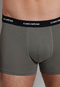 Ceceba 2 PACK Panties grau dunkel uni/dunkelgrau Zalando.de