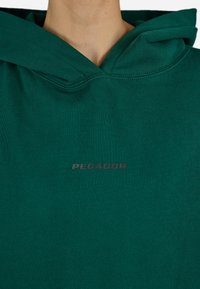 Camisola verde em tecido suave com um bolso frontal. Logo "PEGADOR" em cinza no peito. Capuz com cordão ajustável.