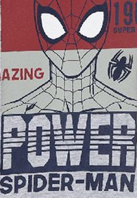 Spiderman Maglietta a manica lunga - grau