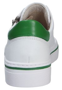 Baskets blanches avec languette de talon verte et bande verte sur la semelle, vues de dos, avec une fermeture éclair latérale.