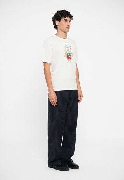 Valge lühikeste varrukatega t-särk, millel on värviline vapi disain. Kandmise ajal navy pinstriped pükstega ja mustade kingadega, kujutatud külgvaates.