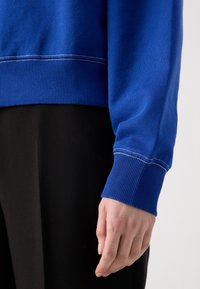 Karaliski zila džemperis ar ribotām piedurknēm un apakšmalu, ar baltu šuvju dekoru. Apvienots ar melnām biksēm.