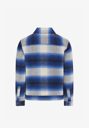 Regular-fit shirt made of woven fabric featuring a blue and white plaid pattern, with a collar and buttoned cuffs.