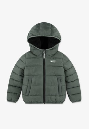 LINED PUFFER UNISEX - Winter jacket - laurel wreath