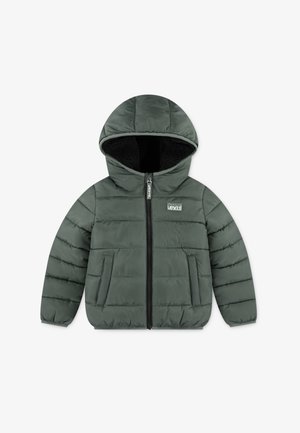 Levi's® LINED PUFFER UNISEX - Winterjas - laurel wreath