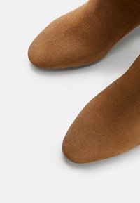 Bottines en daim marron avec un design à bout pointu et une texture lisse, dotées d'une tige sans couture et sans détails apparents de matériel.