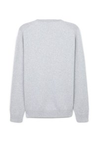 Hellgrauer Pullover mit langen Ärmeln und geripptem Rundhalsausschnitt, Bündchen und Saum, von hinten auf weißem Hintergrund gezeigt.