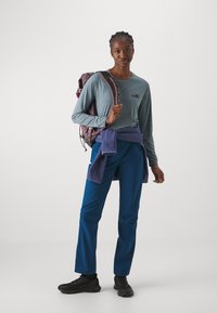Patagonia DAILY GRAPHIC - Hosszú ujjú felső - light plume/grey