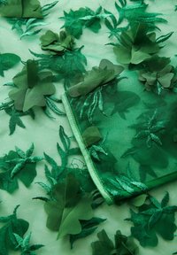 Grüner Stoff mit bestickten Blumen- und Blattformen. Durchscheinende Textur, mit geschichteten grünen Blütenblättern und detailliertem Laubdesign.