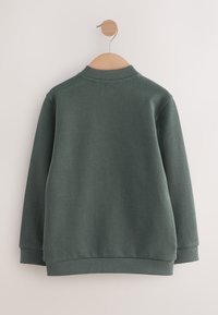 Tamsiai žalia, ilgomis rankovėmis, apvalia apykakle džemperis, kabantis ant medinio sienos kablio, matomas iš nugaros priešais paprastą šviesų foną.