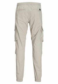 Jack & Jones JPSTKANE JJNOAH CUFFED - Cargobukser - silver cloud