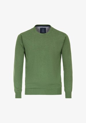 Grüner Rundhalsausschnitt-Pullover aus weicher Baumwolle, mit langen Ärmeln und gerippten Bündchen und Saum. Innen hat er ein kontrastierendes gestreiftes Muster.