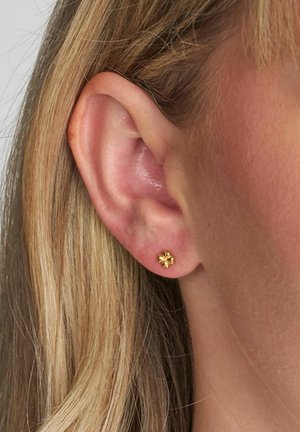 Kultaiset kukkamuotoiset nappikorvakorut, jotka on asetettu osittain näkyvän korvan eteen. Korvakoruissa on teksturoitu muotoilu ja pieni keskellä sijaitseva kivi.