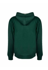 Champion Sweat à capuche - grün