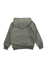 Sweat-shirt à capuche en coton gris avec une texture lisse, des poignets et un ourlet côtelés, et une poche kangourou. Vue de dos montrant un design minimaliste.
