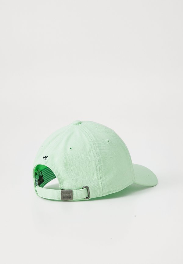 FLAG 6 PANEL UNISEX - Cap - mint gel4