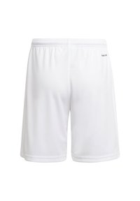 Pantalones cortos deportivos blancos hechos de una tela liviana, con una cintura elástica y un diseño limpio sin patrones ni elementos visibles.