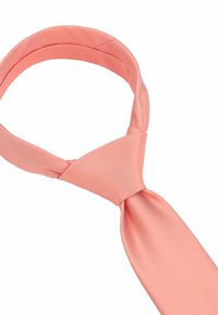 Seidenfalter Krawatte - lachs