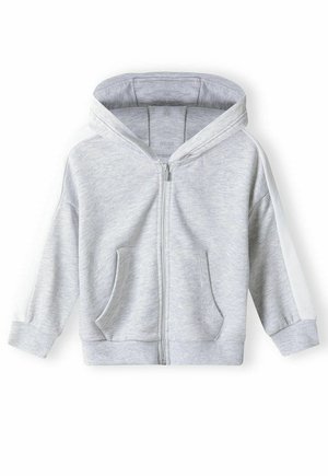 LONG SLEEVE WITH ZIP  - Tröja med dragkedja - grey