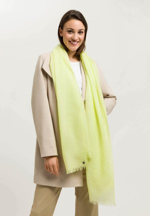 Sciarpa verde chiaro realizzata in tessuto morbido e leggero, con bordi frangiati, indossata sopra un cappotto beige. Il modello è in piedi contro uno sfondo neutro.