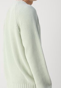 Maglione lavorato a maglia verde tenue, con texture a coste e maniche lunghe. Il design include un colletto rotondo e un orlo aderente.