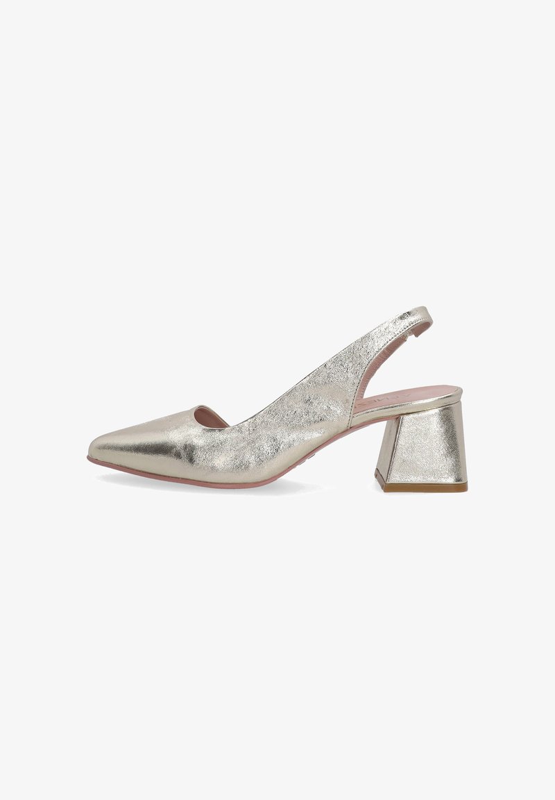 Stříbrná metalická slingback obuv s špičatou špičkou, která má výřezový design a nízký blokový podpatek pro stabilitu. Hladká textura.