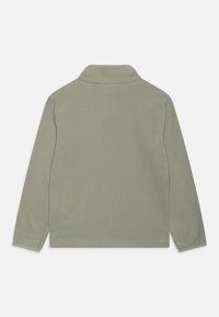 Jack Wolfskin TAUNUS - Jakna od flisa - mint leaf