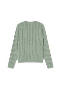 Suéter de punto verde claro con patrones de trenzado, mangas largas y puños y dobladillo de canalé, mostrado desde la parte posterior sobre un fondo blanco.