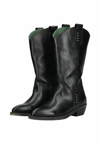 Bottes de cowboy en cuir noir avec un bout pointu et un petit talon. Doublure intérieure verte et surpiqûres décoratives sur les côtés.